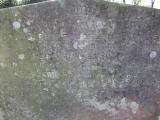 image of grave number 171502